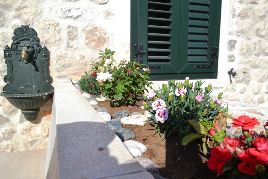 Lanterna Kotor